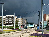 img_0797.jpg